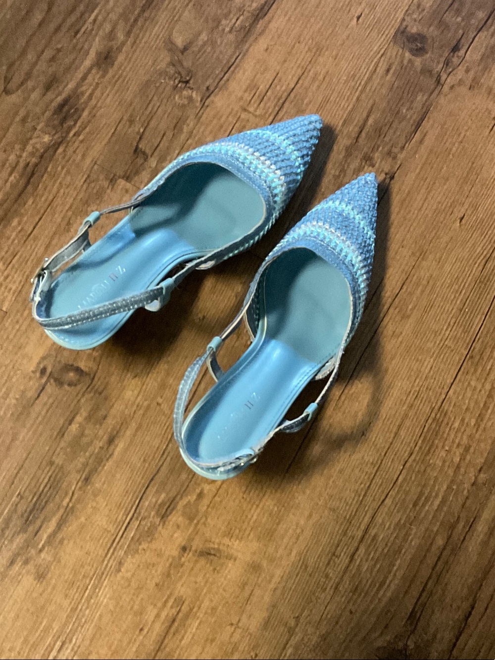 Light Blue Pointed Slingback Flats - Women